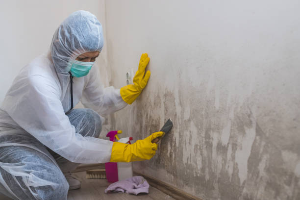 Best Industrial Mold Remediation in Grand Prairie, TX