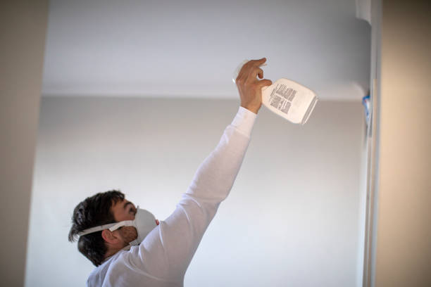 Best Health and Safety Mold Remediation in Grand Prairie, TX