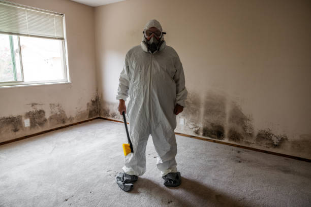Best Kitchen Mold Remediation in Grand Prairie, TX